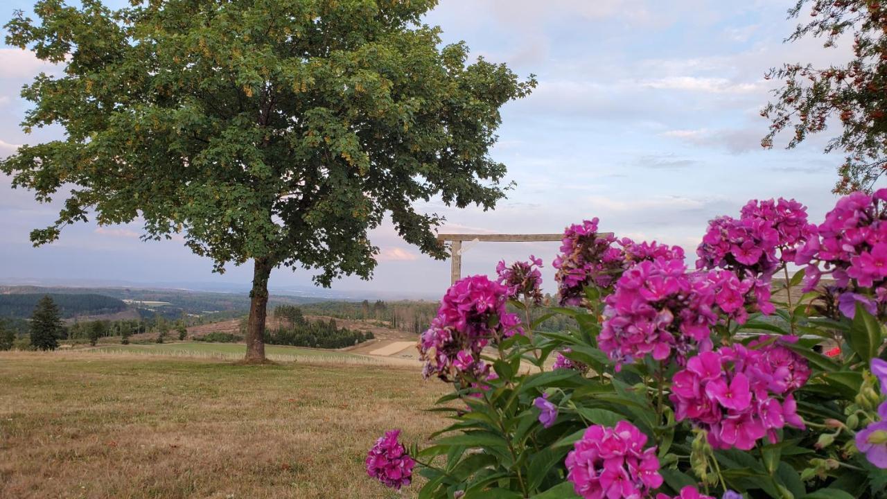 Landgasthof Steuber - Garni Hotel *