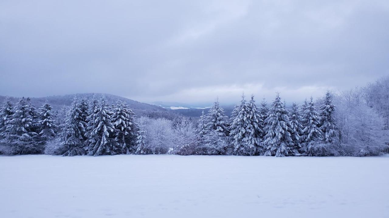 Hotel Landgasthof Steuber - Garni Bromskirchen