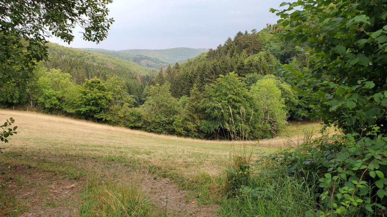 Landgasthof Steuber - Garni Hotel