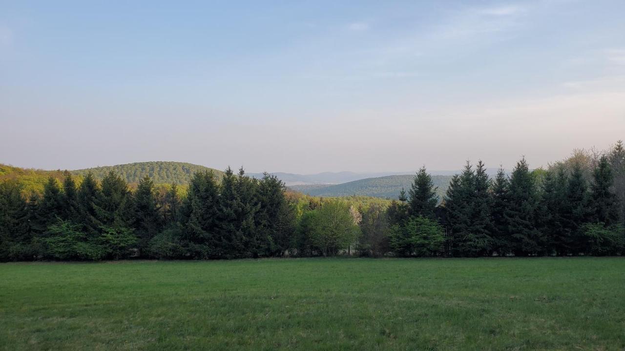 Landgasthof Steuber - Garni