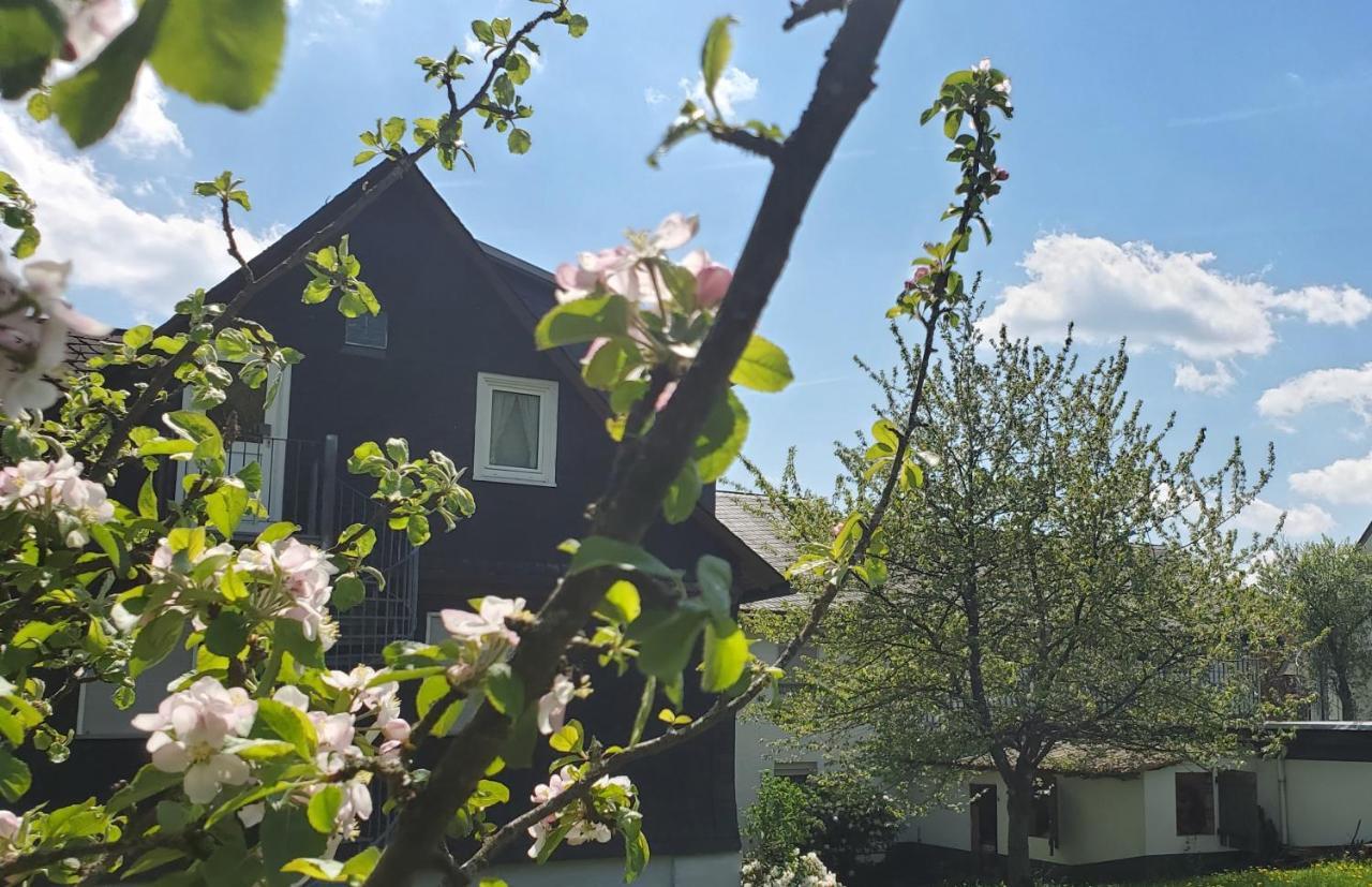 Landgasthof Steuber - Garni Bromskirchen