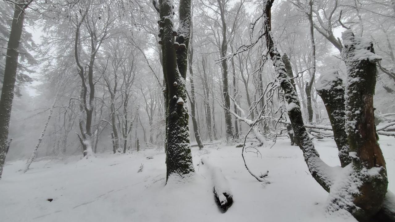 Landgasthof Steuber - Garni