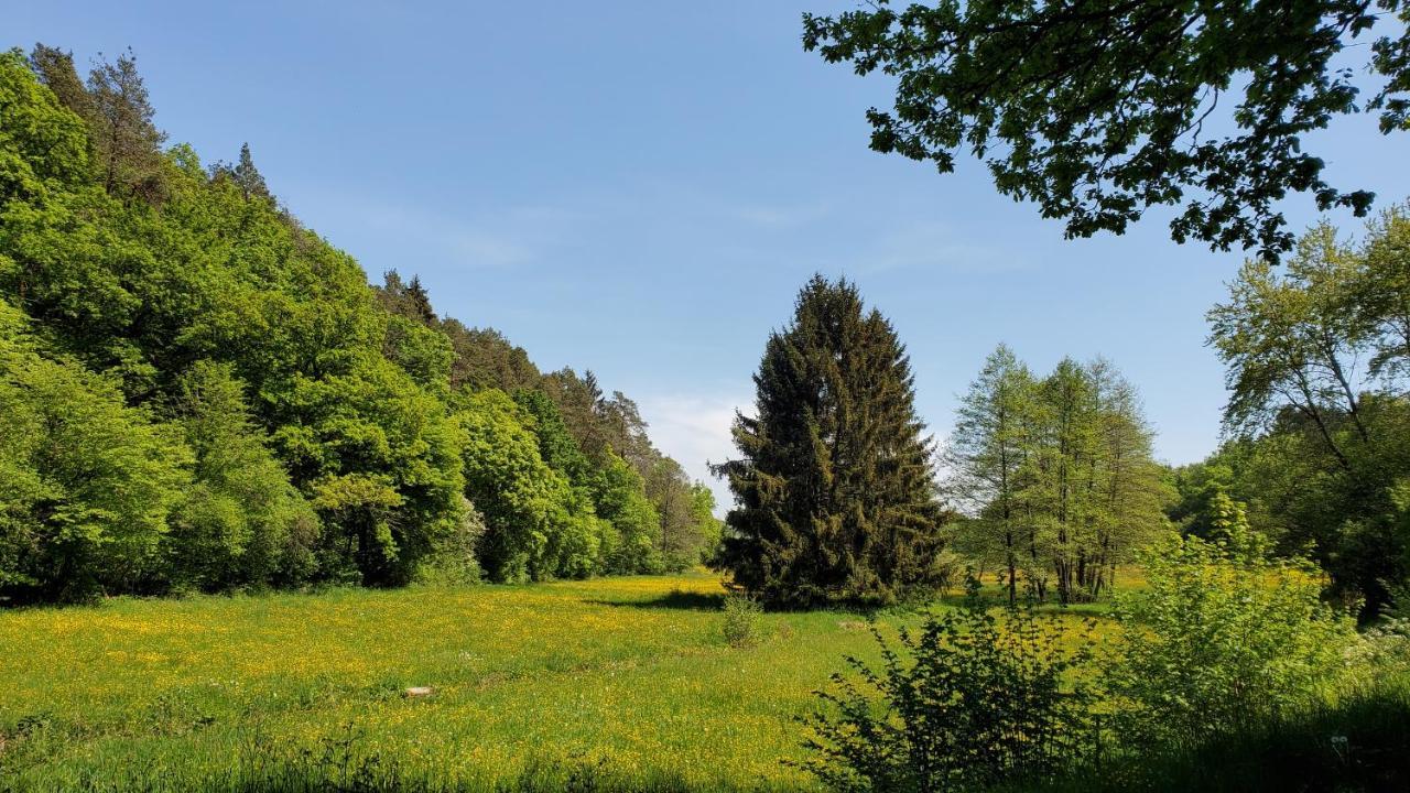 Landgasthof Steuber - Garni * Bromskirchen